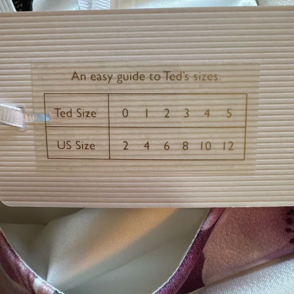 NWT Ted Baker Nanina Neapolitan Print Floral Sheath Dress size 4 - Picture 11 of 17